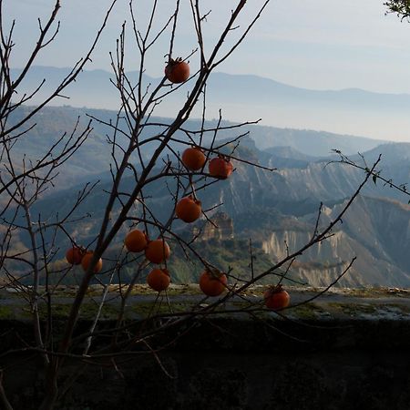 Appartamento Palazzo Contino Bagnoregio Esterno foto