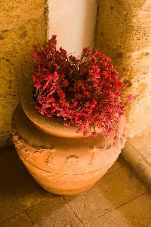 Appartamento Palazzo Contino Bagnoregio Esterno foto